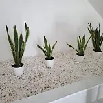 بيت شباب Hostelccportimao بورتيماو