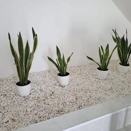 Ostello Hostelccportimao Portimão