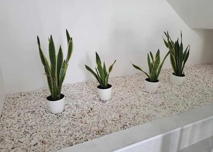 Ostello Hostelccportimao Portimão